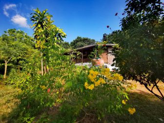 View-from-the-garden-at-Rons-and-Martins-House