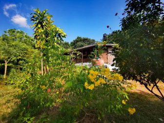 View-from-the-garden-at-Rons-and-Martins-House