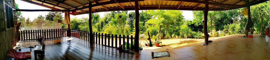 View-out-of-the-Kitchen-at-Rons-and-Martins-House