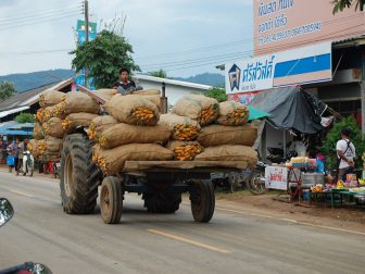 Tractor-in-Bo-Thai-loaded-with-sweetcorn