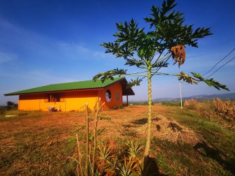 Here-and-Now-Guesthouse-from-behind