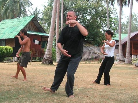 Sifu-Martin-conducting-a-Taiji-course